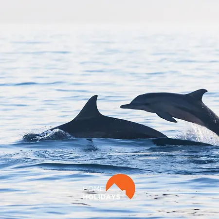 #008 T2 Tenis By Holidays Διαμέρισμα Αλμπουφέιρα